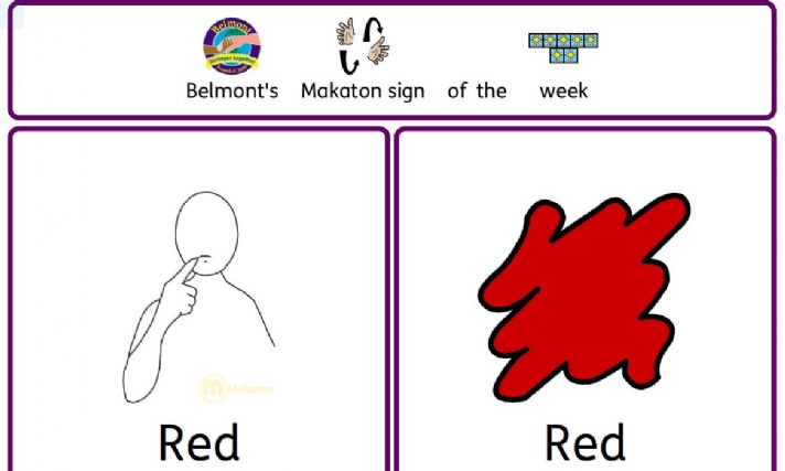 Belmont School - Belmont's Makaton Sign of Week 3.10.22